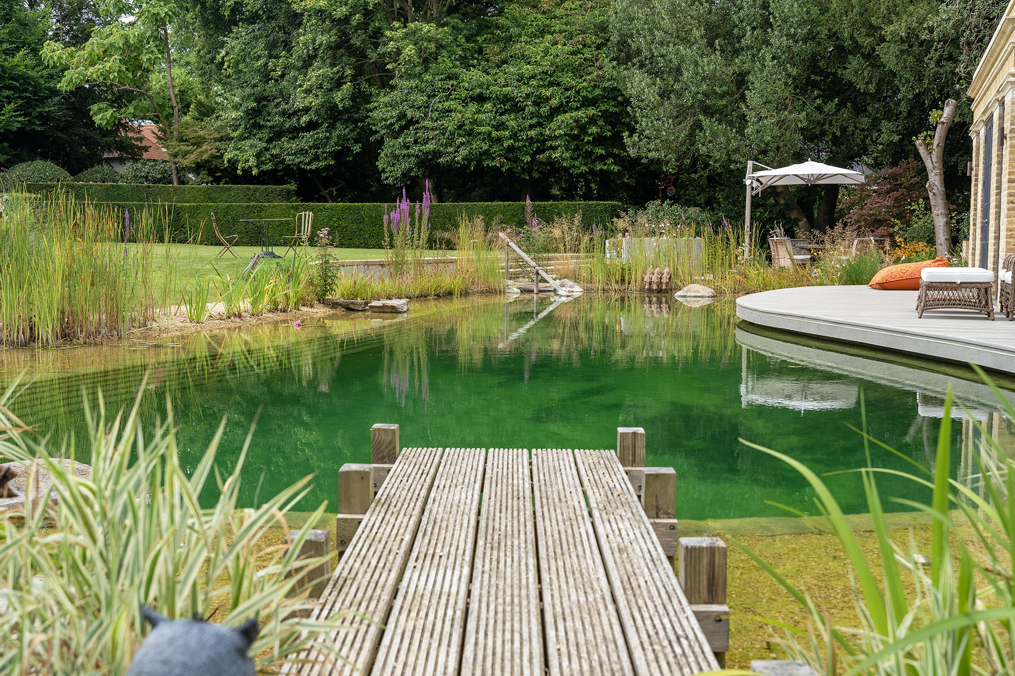 Natural swimming pool project Image1